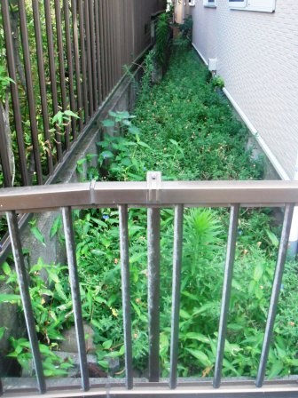 ��̎��Ȃ爤�Ή��@�Ó�̐A�؉��ł��B      �g�тO�X�O�|�X�P�O�O�|�Q�R�S�S