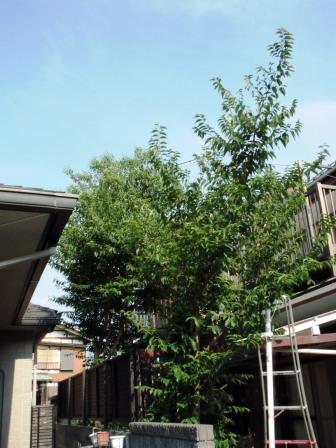 ��̎��Ȃ爤�Ή��@�Ó�̐A�؉��ł��B      �g�тO�X�O�|�X�P�O�O�|�Q�R�S�S