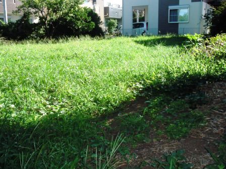 ��̎��Ȃ爤�Ή��@�Ó�̐A�؉��ł��B      �g�тO�X�O�|�X�P�O�O�|�Q�R�S�S