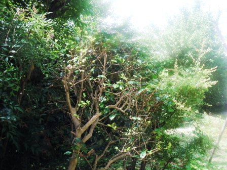 ��̎��Ȃ爤�Ή��@�Ó�̐A�؉��ł��B      �g�тO�X�O�|�X�P�O�O�|�Q�R�S�S