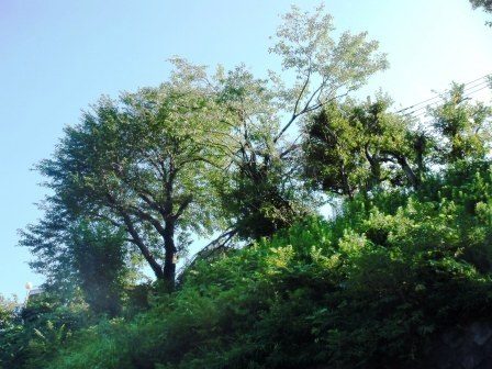 ��̎��Ȃ爤�Ή��@�Ó�̐A�؉��ł��B      �g�тO�X�O�|�X�P�O�O�|�Q�R�S�S