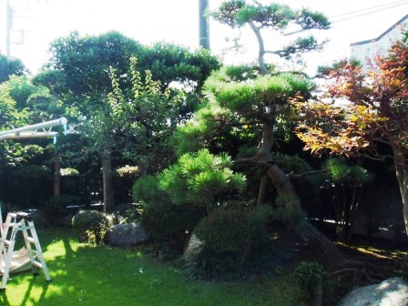 ��̎��Ȃ爤�Ή��@�Ó�̐A�؉��ł��B      �g�тO�X�O�|�X�P�O�O�|�Q�R�S�S