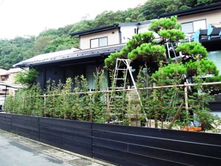 ��̎��Ȃ爤�Ή��@�Ó�̐A�؉��ł��B      �g�тO�X�O�|�X�P�O�O�|�Q�R�S�S