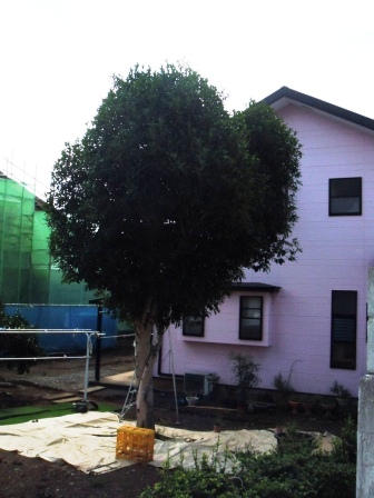 ��̎��Ȃ爤�Ή��@�Ó�̐A�؉��ł��B      �g�тO�X�O�|�X�P�O�O�|�Q�R�S�S