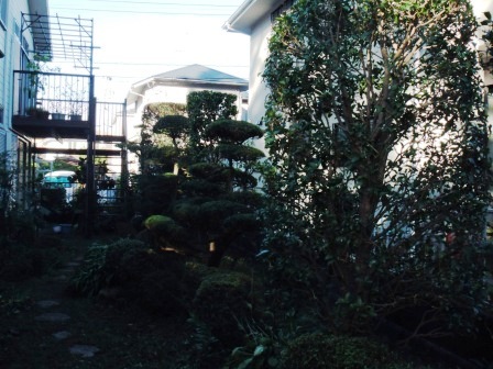 ��̎��Ȃ爤�Ή��@�Ó�̐A�؉��ł��B      �g�тO�X�O�|�X�P�O�O�|�Q�R�S�S