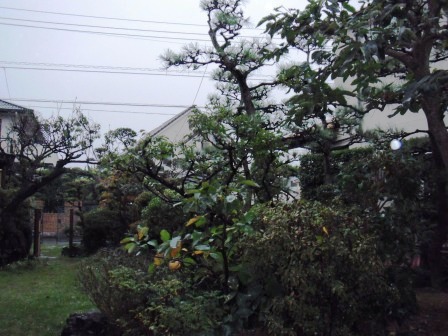 ��̎��Ȃ爤�Ή��@�Ó�̐A�؉��ł��B      �g�тO�X�O�|�X�P�O�O�|�Q�R�S�S