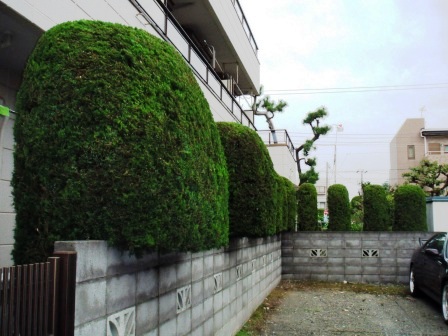 ��̎��Ȃ爤�Ή��@�Ó�̐A�؉��ł��B      �g�тO�X�O�|�X�P�O�O�|�Q�R�S�S