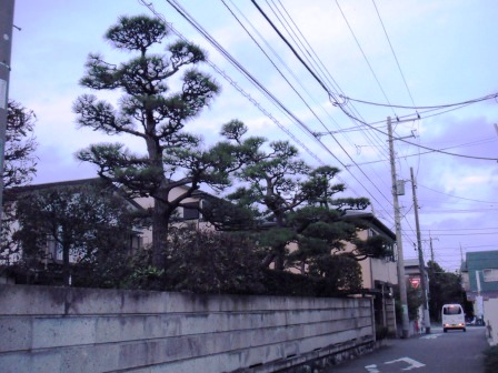 ��̎��Ȃ爤�Ή��@�Ó�̐A�؉��ł��B      �g�тO�X�O�|�X�P�O�O�|�Q�R�S�S