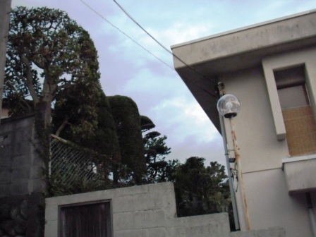 ��̎��Ȃ爤�Ή��@�Ó�̐A�؉��ł��B      �g�тO�X�O�|�X�P�O�O�|�Q�R�S�S