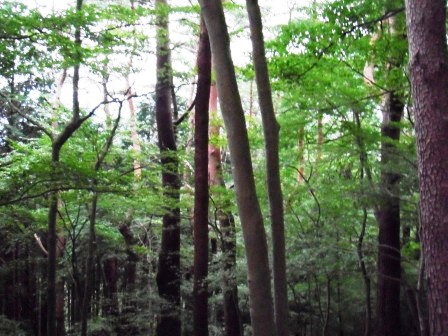 ��̎��Ȃ爤�Ή��@�Ó�̐A�؉��ł��B      �g�тO�X�O�|�X�P�O�O�|�Q�R�S�S