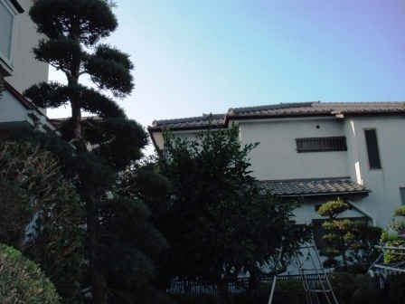 ��̎��Ȃ爤�Ή��@�Ó�̐A�؉��ł��B      �g�тO�X�O�|�X�P�O�O�|�Q�R�S�S