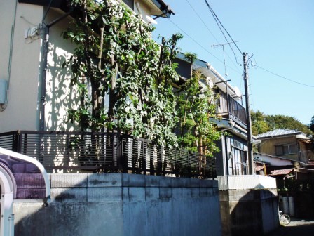 ��̎��Ȃ爤�Ή��@�Ó�̐A�؉��ł��B      �g�тO�X�O�|�X�P�O�O�|�Q�R�S�S