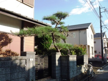 ��̎��Ȃ爤�Ή��@�Ó�̐A�؉��ł��B      �g�тO�X�O�|�X�P�O�O�|�Q�R�S�S