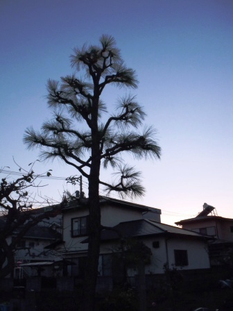 ��̎��Ȃ爤�Ή��@�Ó�̐A�؉��ł��B      �g�тO�X�O�|�X�P�O�O�|�Q�R�S�S