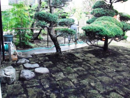 ��̎��Ȃ爤�Ή��@�Ó�̐A�؉��ł��B      �g�тO�X�O�|�X�P�O�O�|�Q�R�S�S