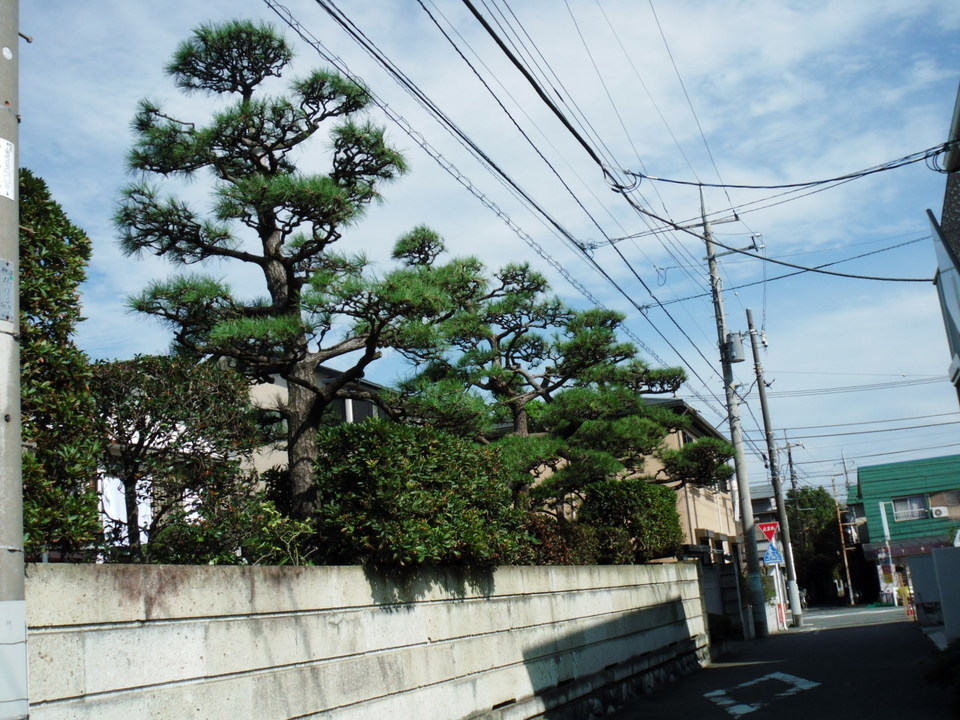 ��̎��Ȃ爤�Ή��@�Ó�̐A�؉��ł��B      �g�тO�X�O�|�X�P�O�O�|�Q�R�S�S