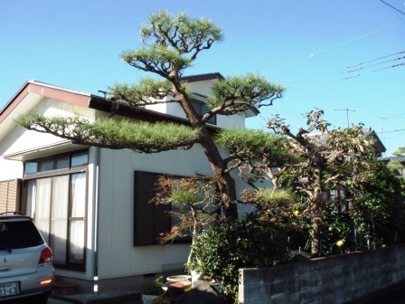 ��̎��Ȃ爤�Ή��@�Ó�̐A�؉��ł��B      �g�тO�X�O�|�X�P�O�O�|�Q�R�S�S