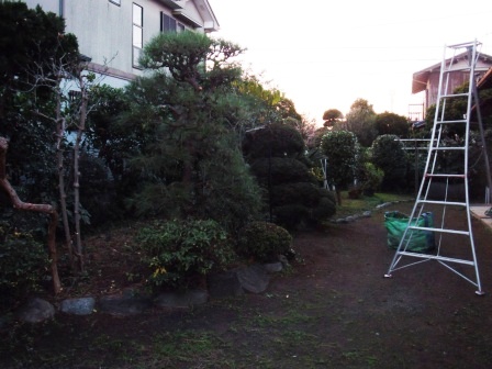 ��̎��Ȃ爤�Ή��@�Ó�̐A�؉��ł��B      �g�тO�X�O�|�X�P�O�O�|�Q�R�S�S