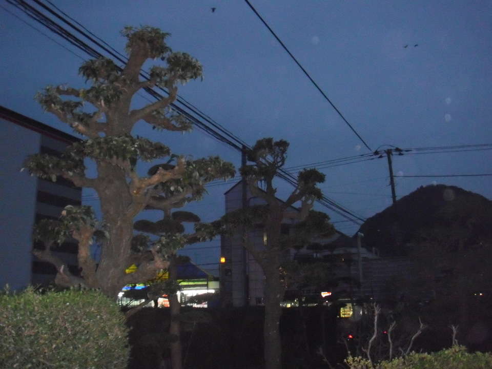 ��̎��Ȃ爤�Ή��@�Ó�̐A�؉��ł��B      �g�тO�X�O�|�X�P�O�O�|�Q�R�S�S