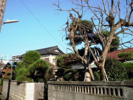 ��̎��Ȃ爤�Ή��@�Ó�̐A�؉��ł��B      �g�тO�X�O�|�X�P�O�O�|�Q�R�S�S