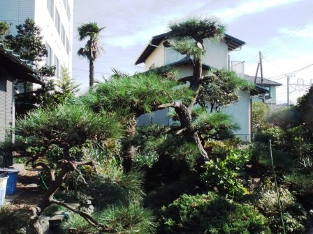 ��̎��Ȃ爤�Ή��@�Ó�̐A�؉��ł��B      �g�тO�X�O�|�X�P�O�O�|�Q�R�S�S