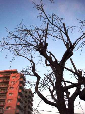 ��̎��Ȃ爤�Ή��@�Ó�̐A�؉��ł��B      �g�тO�X�O�|�X�P�O�O�|�Q�R�S�S