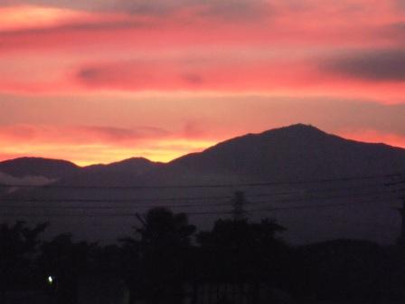 ��̎��Ȃ爤�Ή��@�Ó�̐A�؉��ł��B      �g�тO�X�O�|�X�P�O�O�|�Q�R�S�S