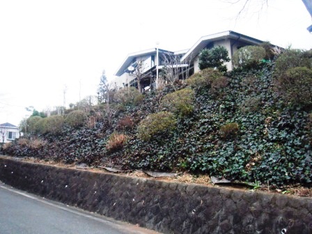 ��̎��Ȃ爤�Ή��@�Ó�̐A�؉��ł��B      �g�тO�X�O�|�X�P�O�O�|�Q�R�S�S