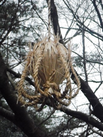 ��̎��Ȃ爤�Ή��@�Ó�̐A�؉��ł��B      �g�тO�X�O�|�X�P�O�O�|�Q�R�S�S