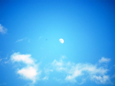 ��̎��Ȃ爤�Ή��@�Ó�̐A�؉��ł��B      �g�тO�X�O�|�X�P�O�O�|�Q�R�S�S