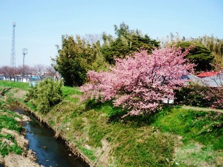 ��̎��Ȃ爤�Ή��@�Ó�̐A�؉��ł��B      �g�тO�X�O�|�X�P�O�O�|�Q�R�S�S