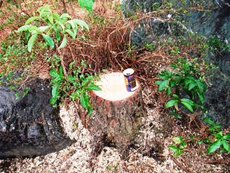 ��̎��Ȃ爤�Ή��@�Ó�̐A�؉��ł��B      �g�тO�X�O�|�X�P�O�O�|�Q�R�S�S