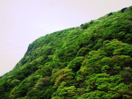 ��̎��Ȃ爤�Ή��@�Ó�̐A�؉��ł��B      �g�тO�X�O�|�X�P�O�O�|�Q�R�S�S