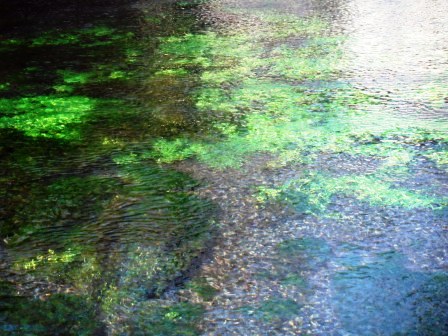 ��̎��Ȃ爤�Ή��@�Ó�̐A�؉��ł��B      �g�тO�X�O�|�X�P�O�O�|�Q�R�S�S