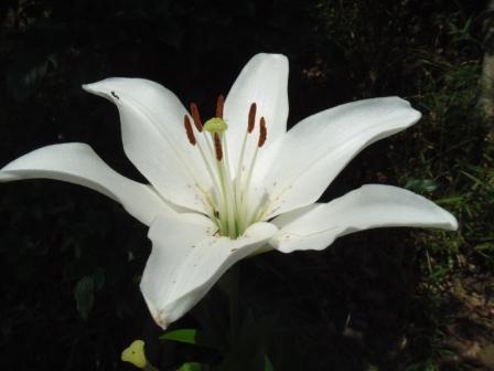 ��̎��Ȃ爤�Ή��@�Ó�̐A�؉��ł��B      �g�тO�X�O�|�X�P�O�O�|�Q�R�S�S