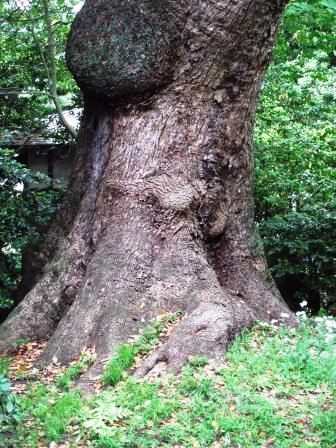 ��̎��Ȃ爤�Ή��@�Ó�̐A�؉��ł��B      �g�тO�X�O�|�X�P�O�O�|�Q�R�S�S