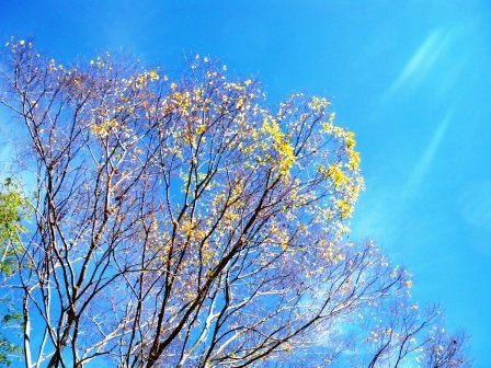 ��̎��Ȃ爤�Ή��@�Ó�̐A�؉��ł��B      �g�тO�X�O�|�X�P�O�O�|�Q�R�S�S