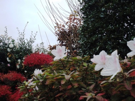 ��̎��Ȃ爤�Ή��@�Ó�̐A�؉��ł��B      �g�тO�X�O�|�X�P�O�O�|�Q�R�S�S