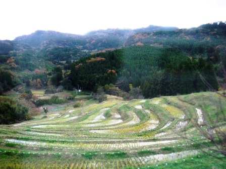 ��̎��Ȃ爤�Ή��@�Ó�̐A�؉��ł��B      �g�тO�X�O�|�X�P�O�O�|�Q�R�S�S