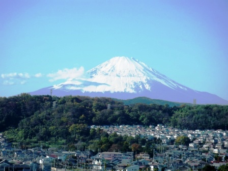 ��̎��Ȃ爤�Ή��@�Ó�̐A�؉��ł��B      �g�тO�X�O�|�X�P�O�O�|�Q�R�S�S