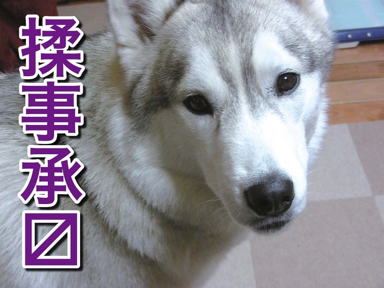 �����㓙!!