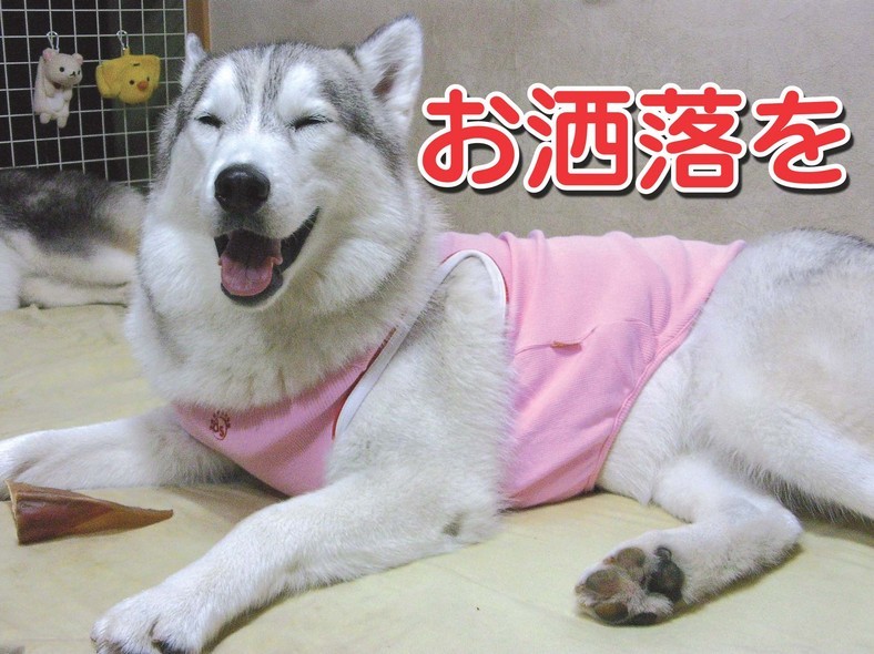 �����㓙!!