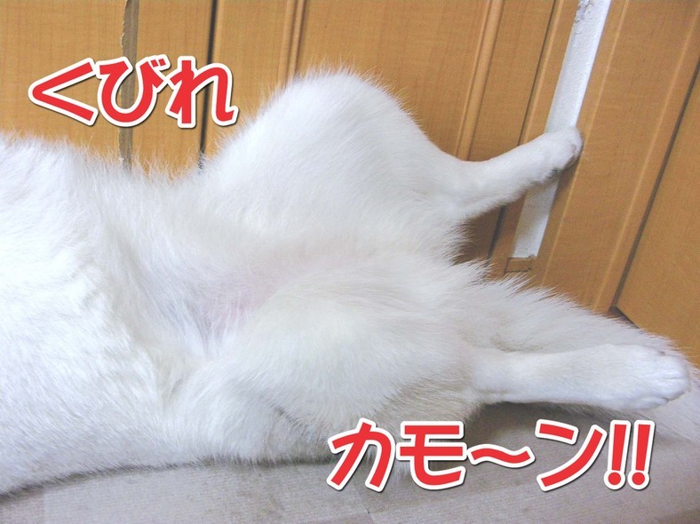 �����㓙!!