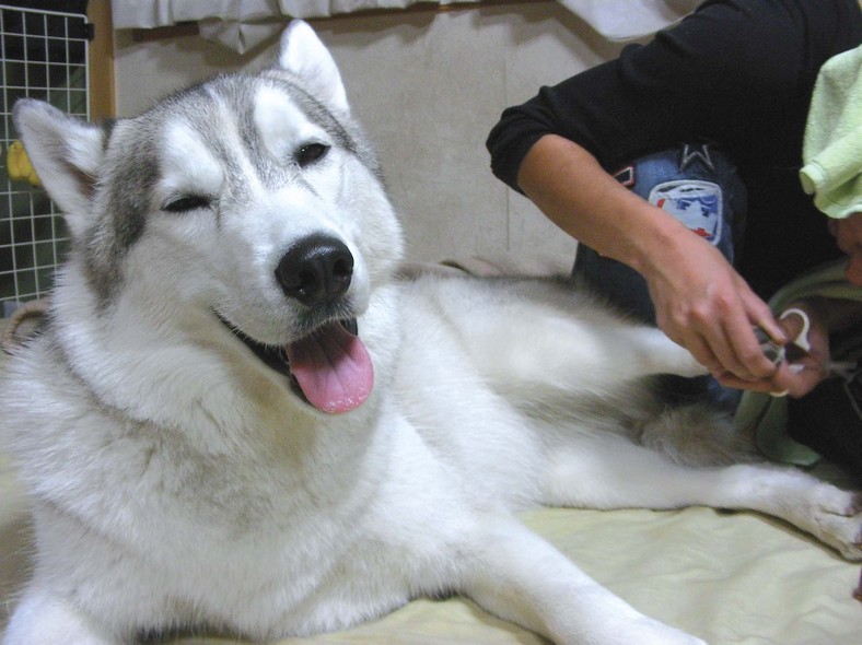 �����㓙!!