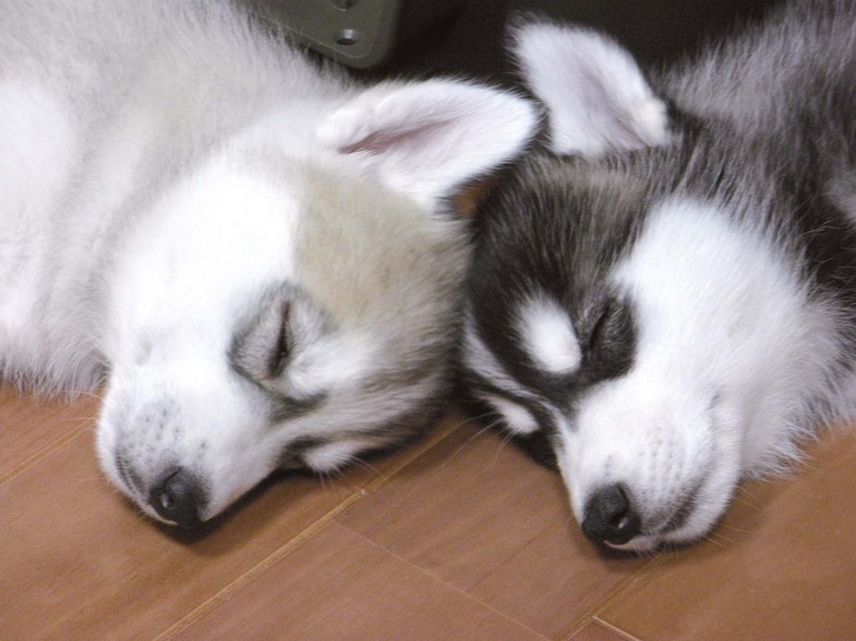 �����㓙!!