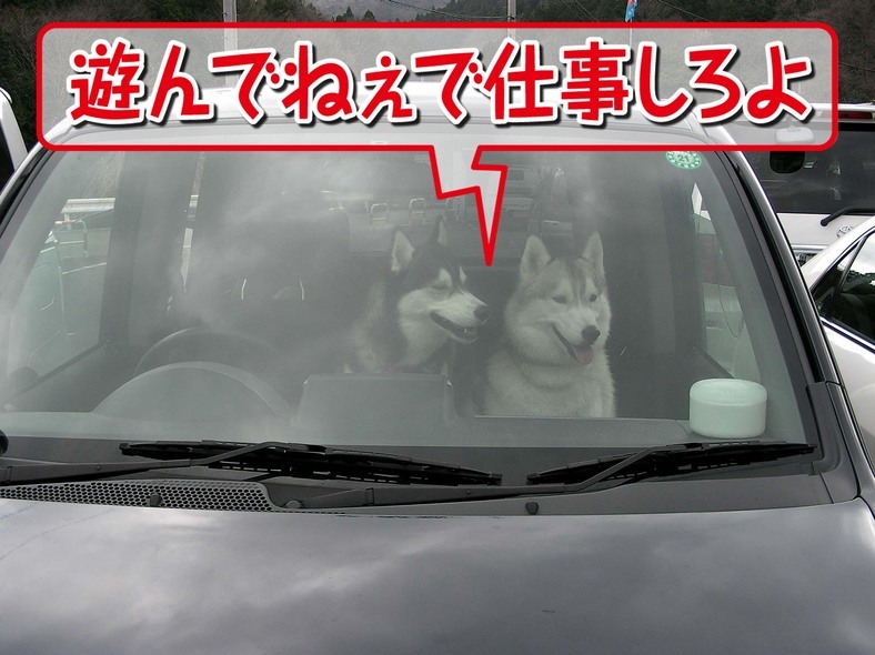 �����㓙!!