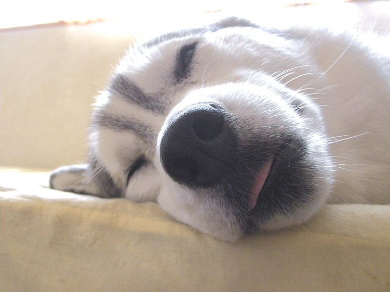 �����㓙!!