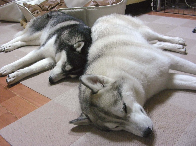 �����㓙!!