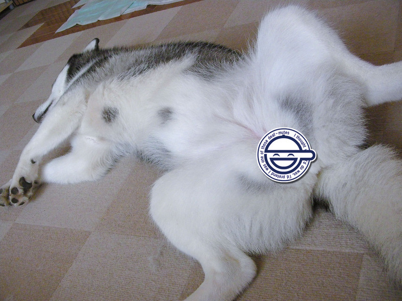 �����㓙!!