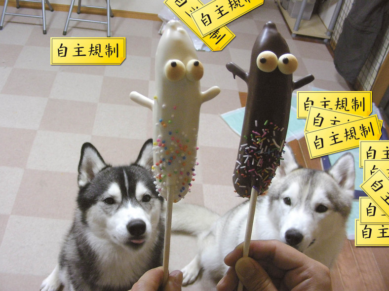 �����㓙!!